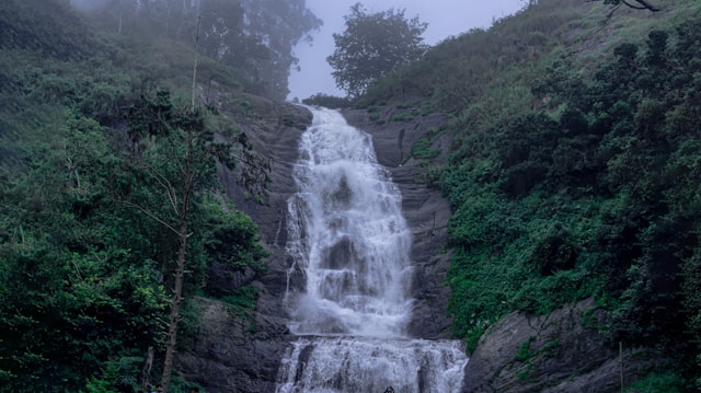 Picnic Tour with Trekking